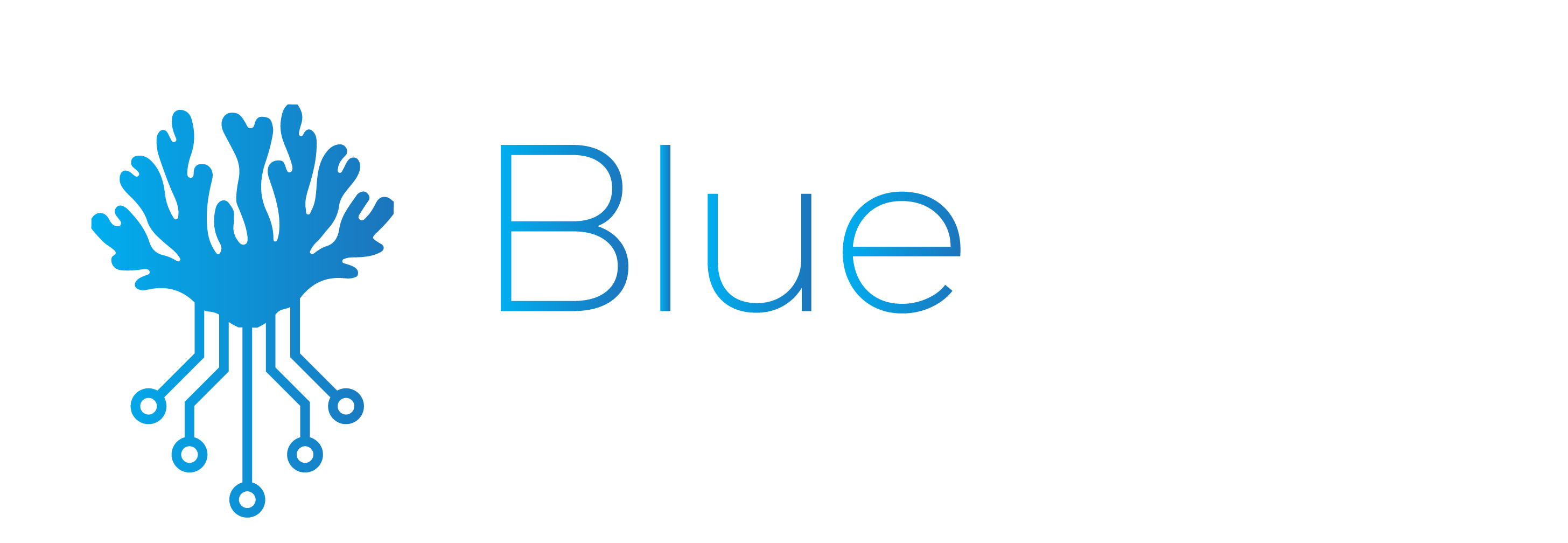 Blue Reef Solutions